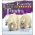 Life In The Tundra