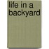 Life in a Backyard