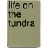 Life on the Tundra