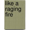 Like a Raging Fire door Avi M. Schulman