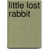 Little Lost Rabbit