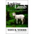 Looking For A Lamb