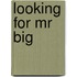Looking For Mr Big