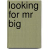 Looking For Mr Big door Maggie Hudson