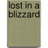 Lost in a Blizzard