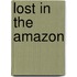 Lost in the Amazon