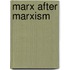 Marx After Marxism