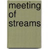 Meeting of Streams by M.G. Vassanji