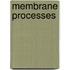 Membrane Processes