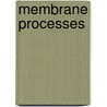 Membrane Processes by R. Rautenbach