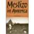 Mestizo In America