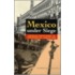 Mexico Under Siege