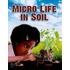 Micro Life in Soil