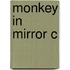 Monkey In Mirror C