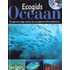 Oceaan