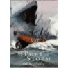 No Port In A Storm by Robert MacAlindin