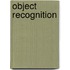 Object Recognition