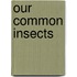 Our Common Insects