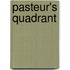 Pasteur's Quadrant