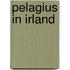 Pelagius in Irland