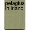 Pelagius in Irland by Heinrich Zimmer