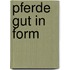 Pferde gut in Form