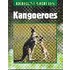 Kangoeroes