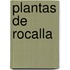 Plantas de Rocalla