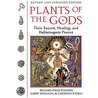 Plants Of The Gods door Richard Evans Schultes
