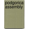 Podgorica Assembly by Miriam T. Timpledon