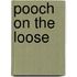 Pooch on the Loose