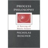 Process Philosophy by Nicholas Rescher