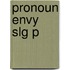 Pronoun Envy Slg P