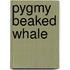 Pygmy Beaked Whale