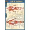 Quickstudy Anatomy door Onbekend