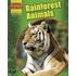 Rainforest Animals