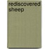 Rediscovered Sheep