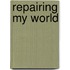 Repairing My World
