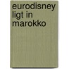 Eurodisney ligt in Marokko door S. de Smidt