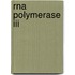 Rna Polymerase Iii