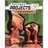 Rocks And Minerals