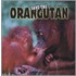 Save the Orangutan