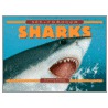 See-Through Sharks door Steve Savage