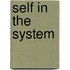 Self in the System
