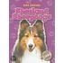 Shetland Sheepdogs