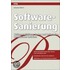Software-Sanierung
