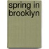 Spring in Brooklyn