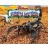 Stinging Scorpions