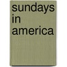 Sundays in America door Suzanne Strempek Shea
