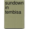 Sundown In Tembisa door Mark O'Doherty